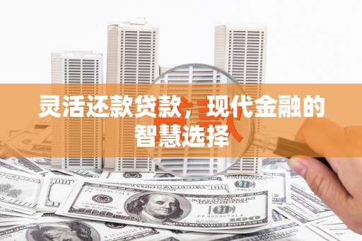 丰都灵活还款贷款，现代金融的智慧选择