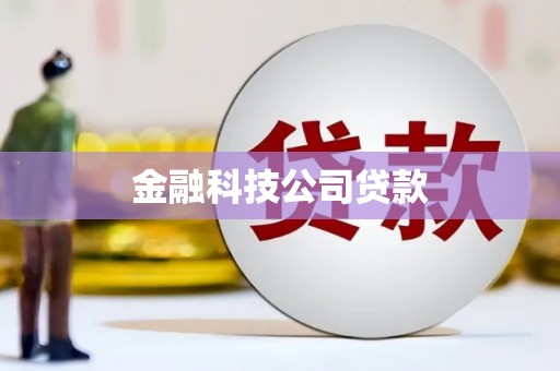 丰都金融科技公司贷款