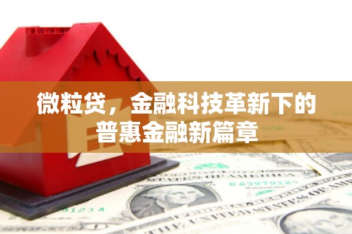 丰都微粒贷，金融科技革新下的普惠金融新篇章