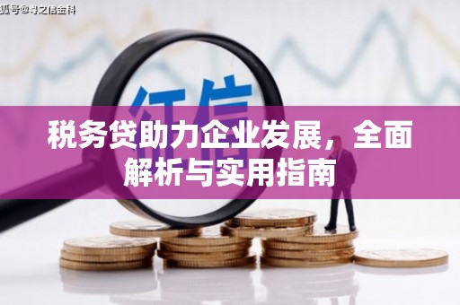 丰都税务贷助力企业发展，全面解析与实用指南