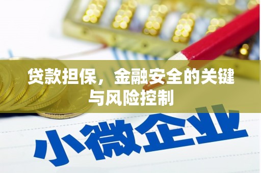 丰都贷款担保，金融安全的关键与风险控制