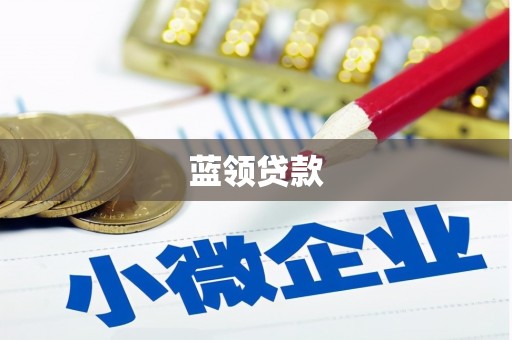 丰都蓝领贷款