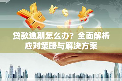 丰都贷款逾期怎么办？全面解析应对策略与解决方案