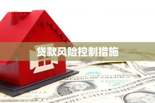 丰都贷款风险控制措施