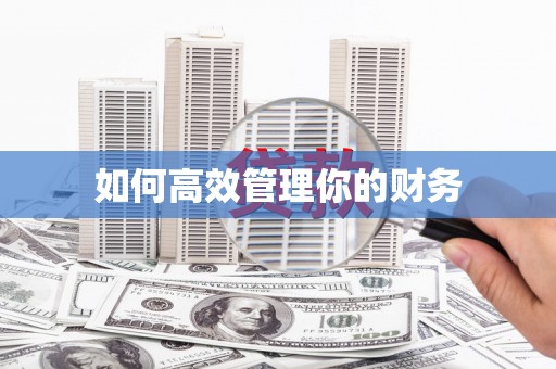 丰都如何高效管理你的财务