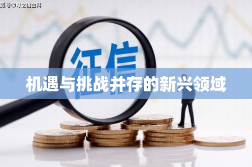 丰都机遇与挑战并存的新兴领域
