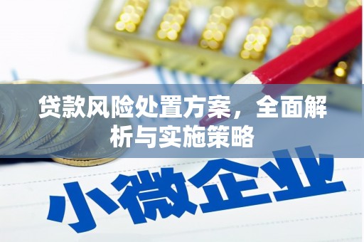 丰都贷款风险处置方案，全面解析与实施策略