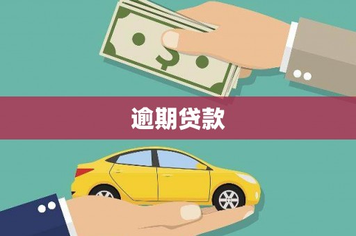 丰都逾期贷款